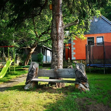Ferienhaus Franz - an der Elbe, mit großem Garten Pirna Exterior foto