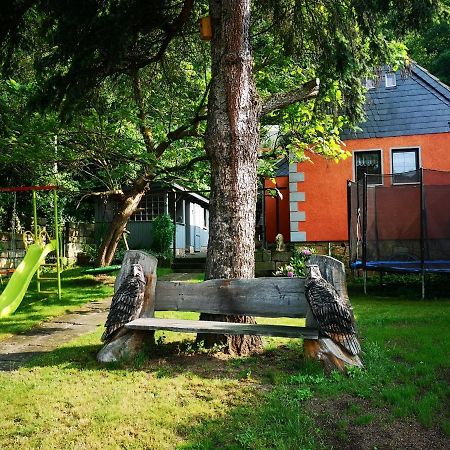 Villa Ferienhaus Franz - an der Elbe, mit großem Garten Pirna Exterior foto