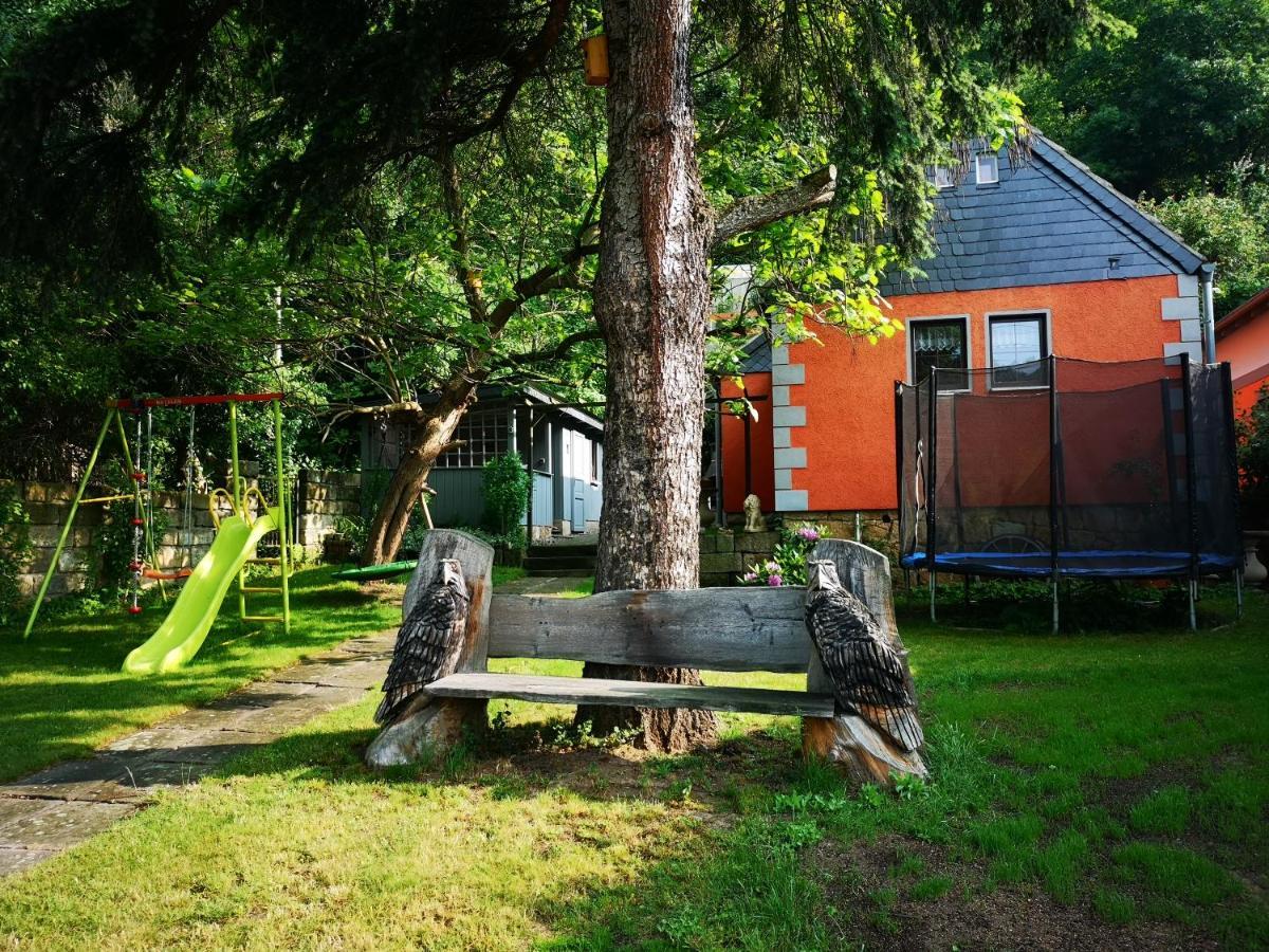 Villa Ferienhaus Franz - an der Elbe, mit großem Garten Pirna Exterior foto