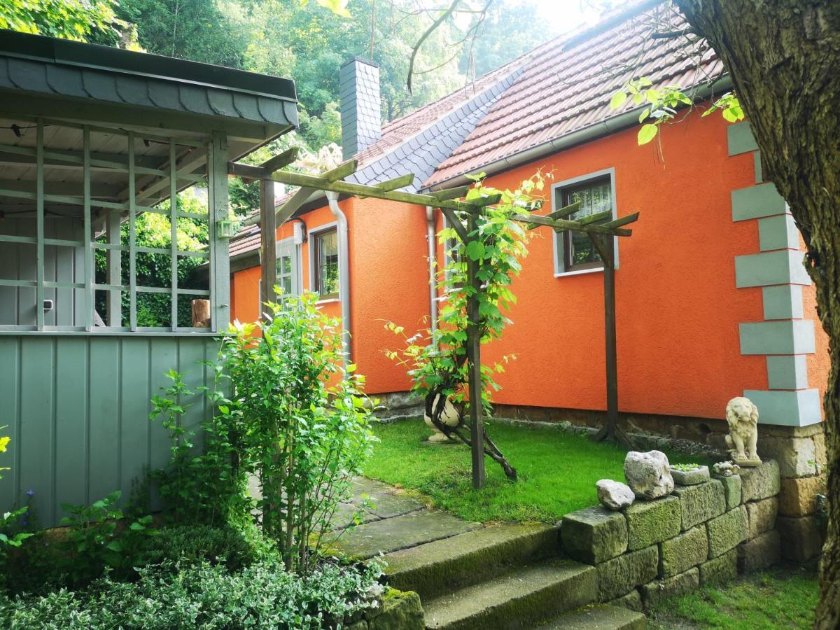 Villa Ferienhaus Franz - an der Elbe, mit großem Garten Pirna Exterior foto