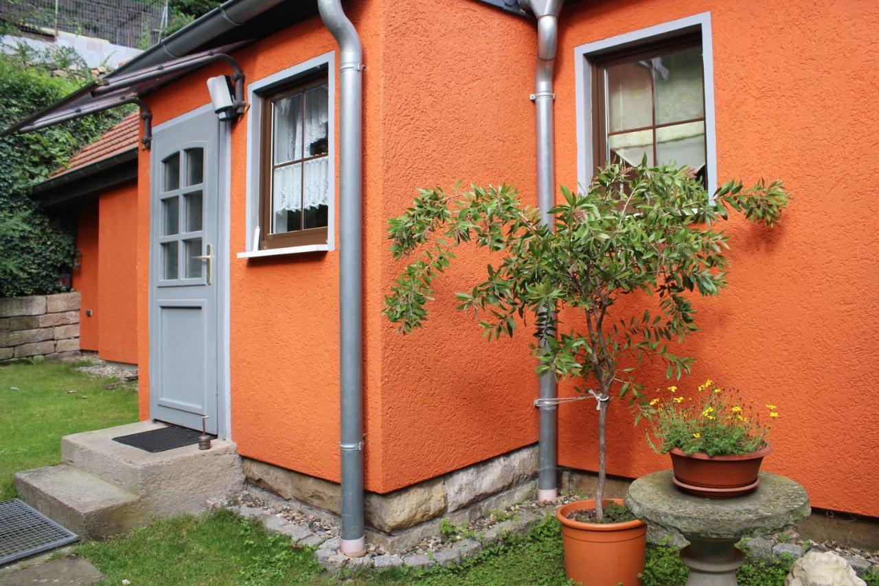 Ferienhaus Franz - an der Elbe, mit großem Garten Pirna Exterior foto